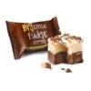 Fudge Bites - Chocolate And Peanut Butter: 12-Piece Display -Snickers Sales Store fudge bites chocolate and peanut butter 12 piece display candy warehouse 1