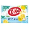 Kit Kat Snack Size Packs - Salt & Lemon: 11-Piece Bag 1 Kit Kat Snack Size Packs - Salt & Lemon: 11-Piece Bag -Snickers Sales Store kit kat snack size packs salt and lemon 11 piece bag candy warehouse